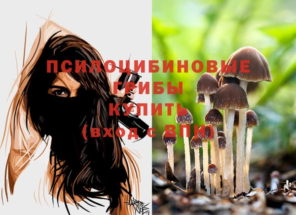 марки lsd Балабаново