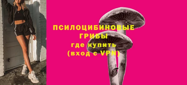 кокс Баксан