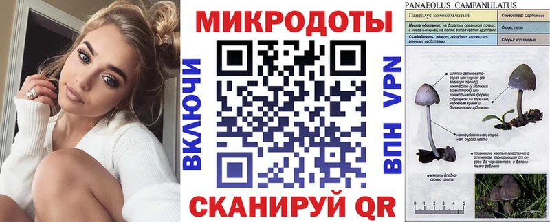 наркотики  Тосно  hydra как зайти  Галлюциногенные грибы MAGIC MUSHROOMS 