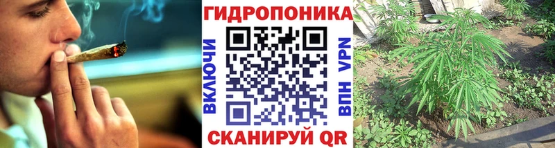 дарк нет как зайти  Тосно  Марихуана AK-47 